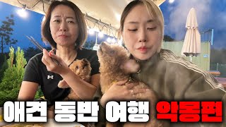 모두가 불행했던 여행 (개시끄러움)