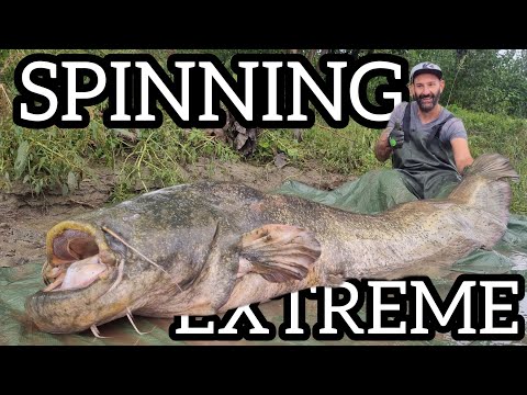 Extreme spinning fishing  fisherman caught a 220 pound catfish in Italy by Yuri Grisendi