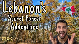 Adventures in Lebanon: Exploring Lebanon’s Hidden Gems in Akkar 🇱🇧  استكشاف جواهر  لبنان المخفية
