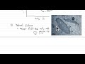 Magma Chamber Dynamics and Processes