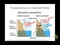 Niche Concepts and Invasive Species