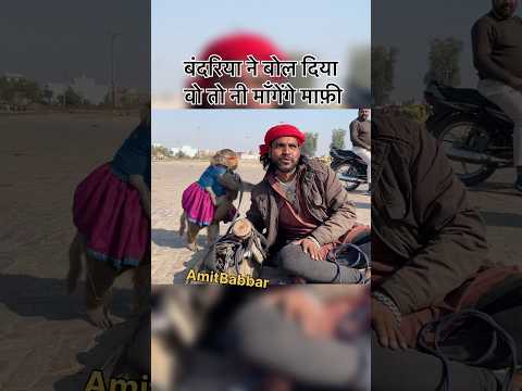मदारी से बंदरिया ने बोल दिया वो तो नी माँगेंगे माफ़ी #bandar #madarikakhel #madari #bandarkakhel