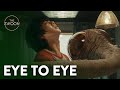 Understanding the Emotional Scene