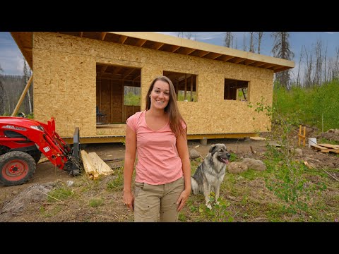 Building A Small Cabin Before Winter | Finishing Roof Framing