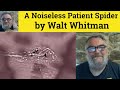 Walt Whitman's 'A Noiseless Patient Spider'