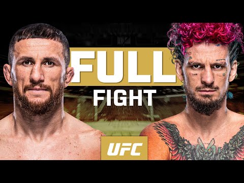 Merab Dvalishvili vs Sean O'Malley | FULL FIGHT | UFC 311