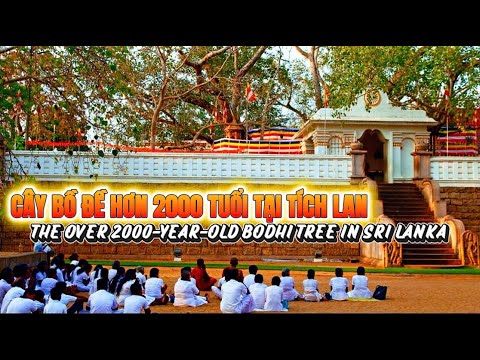 &quot;Jaya Siri Maha Bodhiya&quot; (Phụ Đề Việt - Anh) | (Viet &amp; Eng Sub)