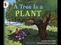 Understanding Words and Plants
