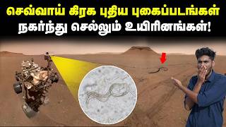 நெஜமாவே aliens-அ தான் கண்டுபுடிச்சாங்களா? | Did NASA really discover alien life on Mars?!