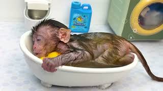 Monkey Baby Chu Chu