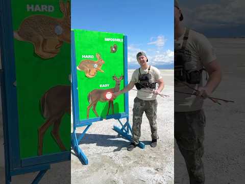 Hunting Challenge: Easy shot, Hard shot, impossible shot! #hunting