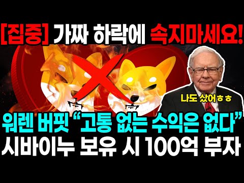 [집중] 가짜 하락에 속지마세요! 워렌 버핏 “고통 없는 수익은 없다” 시바이누 보유 시 100억 부자!