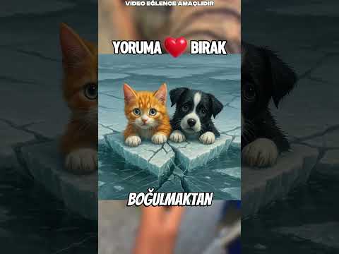 Filin Yaptığı Şey😮