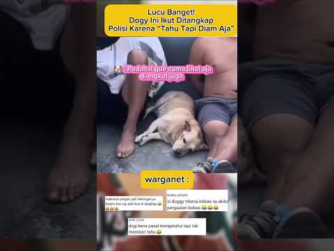 "Lucu Banget!!! Dogy Ini Ikut Ditangkap Polisi Karena “Tahu Tapi Diam Aja”