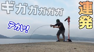 防波堤からとんでもねぇ!どデカいあの魚が次々と…