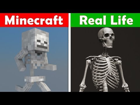 MINECRAFT SKELETON IN REAL LIFE! Minecraft vs Real Life animation CHALLENGE