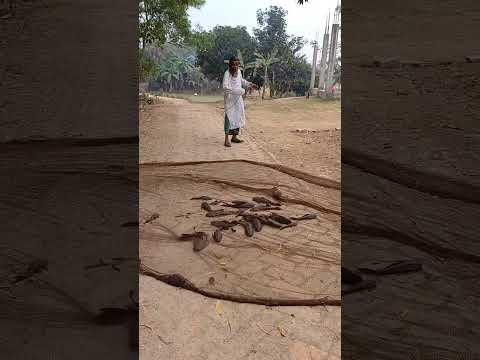 rastay eto mas koite ashlo #funny #funnyclip #funnymovie #duet