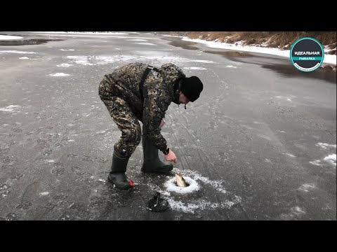 Ловля щуки на жерлицы по первому льду.