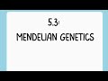 Genetics and Probability Concepts