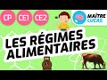 Régimes Alimentaires des Animaux