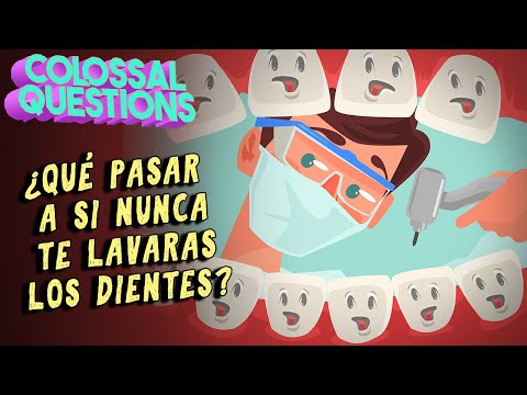 ¿Qué pasaría si NUNCA te cepillas los dientes? | PREGUNTAS COLOSALES