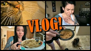 VLOG: June 24th | Baxter's New Diet & Updates, House Chores, My Feminine Health Updates, & MORE!