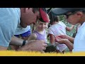 Aquatic Invertebrates and Their Characteristics