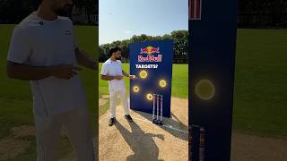Cricket Ultimate Target Practice