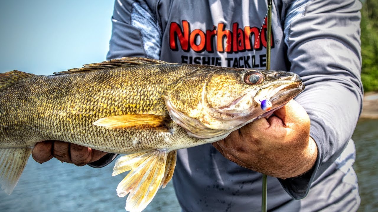 Walleye Lures (Jigs vs Cranks vs Rigs vs Blades)