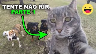 TENTE NÃO RIR COM OS ANIMAIS MAIS ENGRAÇADOS DO MUNDO 😂