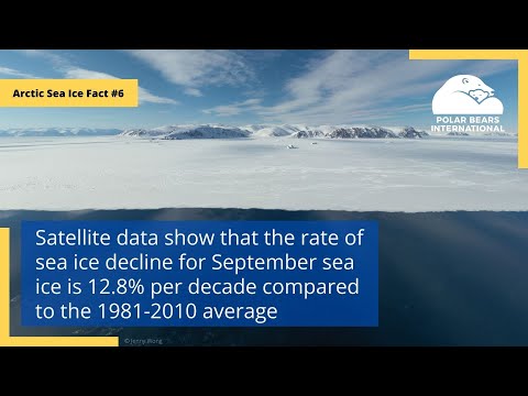 Arctic Sea Ice Fact #6: Sea Ice Extent Decline