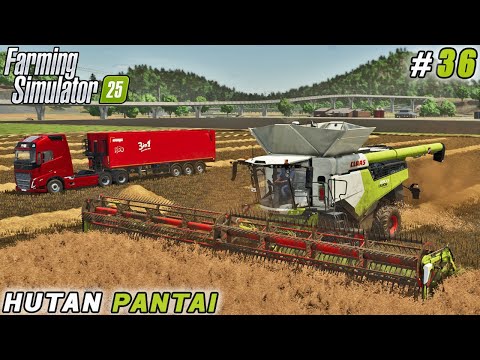 Setting Up Our Oil Mill & Harvesting Rapeseed | Farming Simulator 25 | Hutan Pantai Farm | ep #36