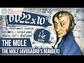 Understanding the Mole Concept