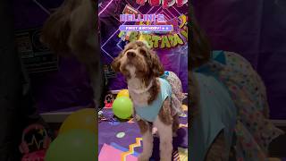 Bellini's 80s-themed birthday party was a blast from the past!