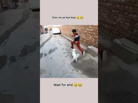 Oreo piche pade gya 😄😂 // sourav joshi vlogs // #youtubeshorts #souravjoshivlogs #shorts