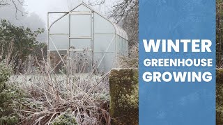 Winter Greenhouse Growing: Is Heating Worth It for Your Commercial Operation?
