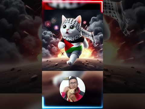 KUCING PALESTINA, KUCING ISRIWIL MAIN PETASAN  #shorts #kucing #palestina