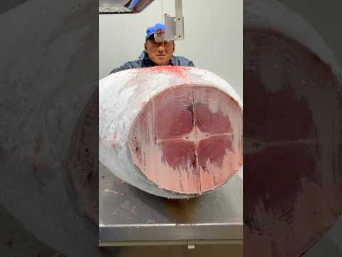 Huge Frozen Tuna Cutting #food #seafood #tuna #japan