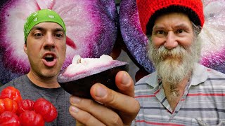 Psychedelic Looking Fruit in JAMAICA! Star Apples & Surinam Cherry!