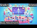 Animal Movement and Adaptations