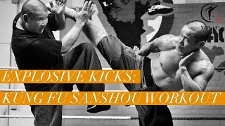 Ultimate Sanda Kick Training: Kung Fu Sanshou Workou