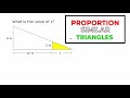 Similar Triangles and Proportions