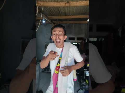 kucing lucu mandi sambil Nyanyi