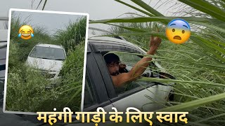 आज भैंसों के साथ हमारा DOGI भी गया जोहड़ पर नहाने|
