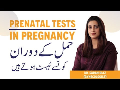 Prenatal Test For Genetic Disorders - Ultrasound In Pregnancy - Hamal Ke Doran Konse Test Hote Hain