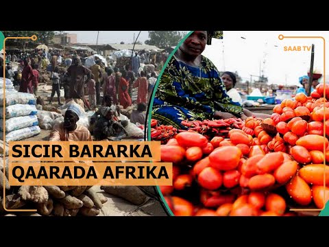 Waa kuwee wadamada Afrika ee sicir-barar sameeyay sanadkan?