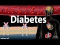 Diabetes Management and Symptoms
