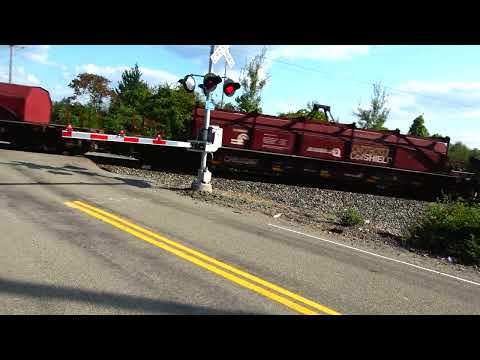 I Was Filming a Train And This Happened! NS and BNSF Trains With DPU Alrights Big CSX Manifest Train