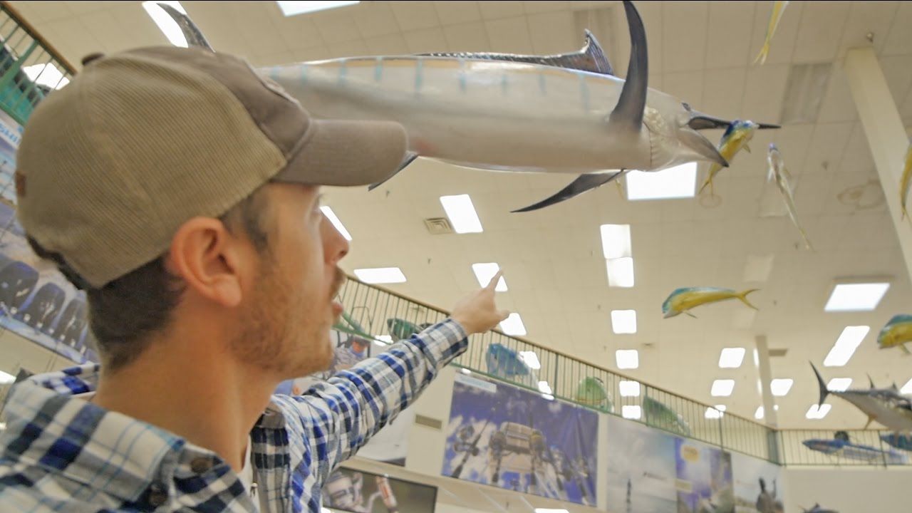 Amazing Fish Mounts in Texas Fishing Store