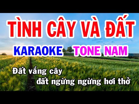 Tình Cây và Đất Karaoke Tone Nam Nhạc Sống gia huy karaoke